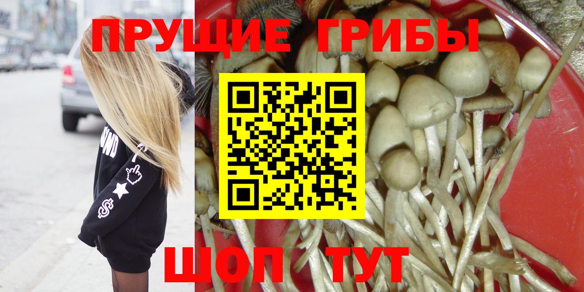 Псилоцибиновые грибы Psilocybe  Вход с VPN  Луга 