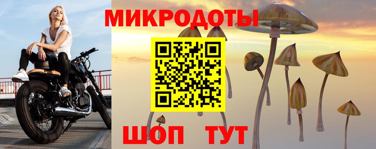 Псилоцибиновые грибы Magic Shrooms Луга