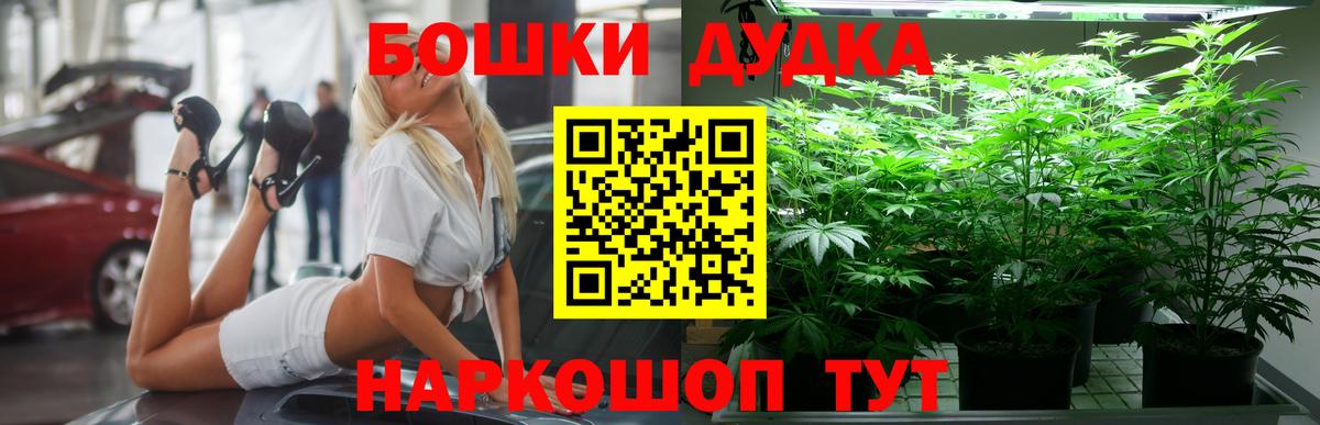 Бошки марихуана тримм  Марихуана Amnesia  Луга  Вход с VPN  Бошки Шишки индика 